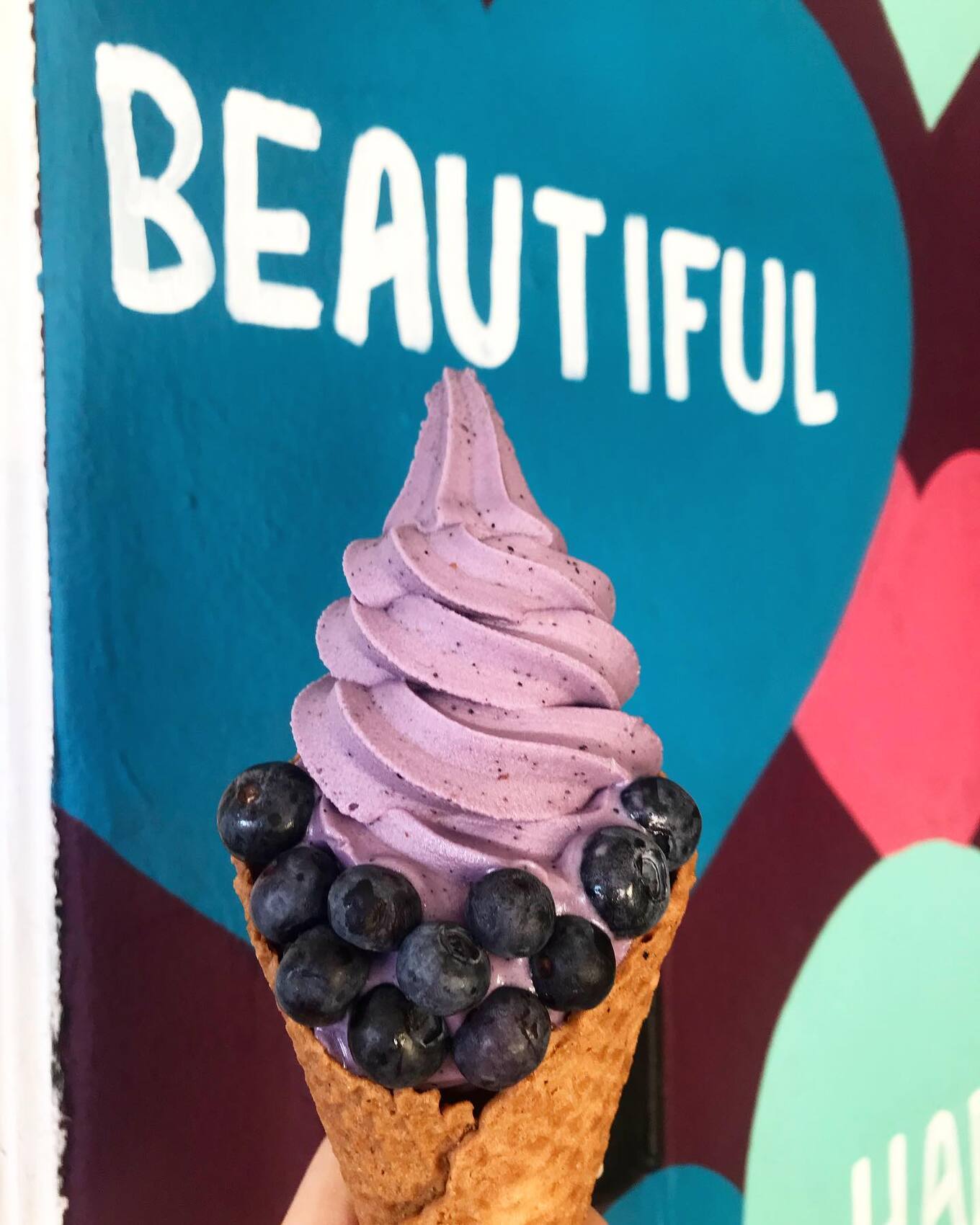 beautiful blueberry yoga-urt